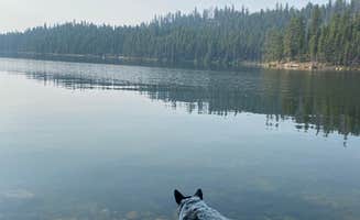 Shelly S.'s photo of camping with pets at Boise National Forest Shoreline Campground near Payette National Forest