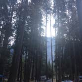 Review photo of Lower Pines Campground — Yosemite National Park by Carly E., May 23, 2018