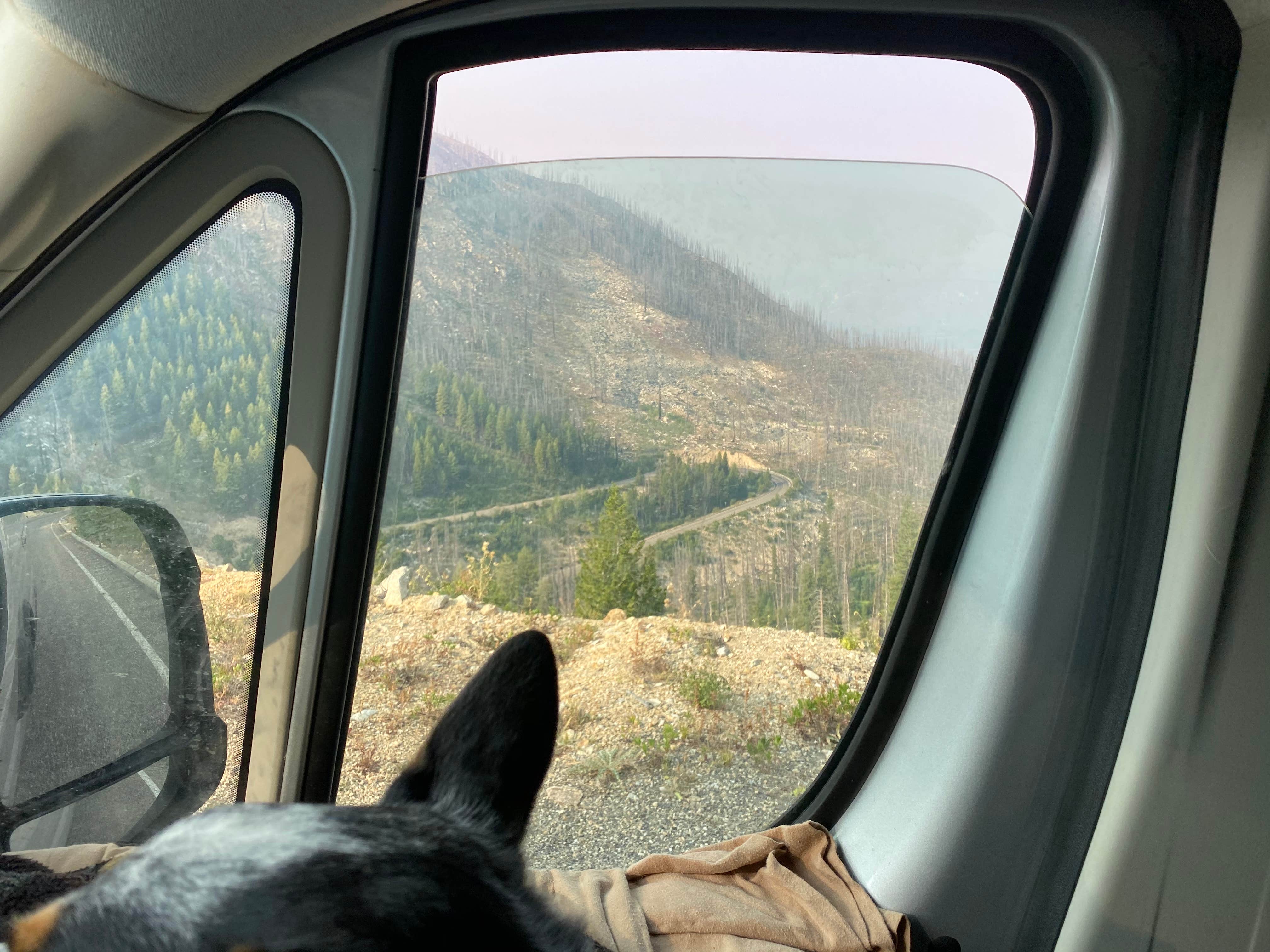 Shelly S.'s photo of camping with pets at Summit Lake Campground near Salmon-Challis National Forest
