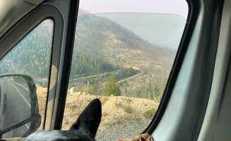 Shelly S.'s photo of camping with pets at Summit Lake Campground near Salmon-Challis National Forest