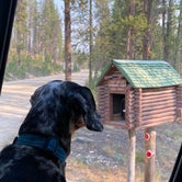 Review photo of Summit Lake Campground by Shelly S., November 6, 2020