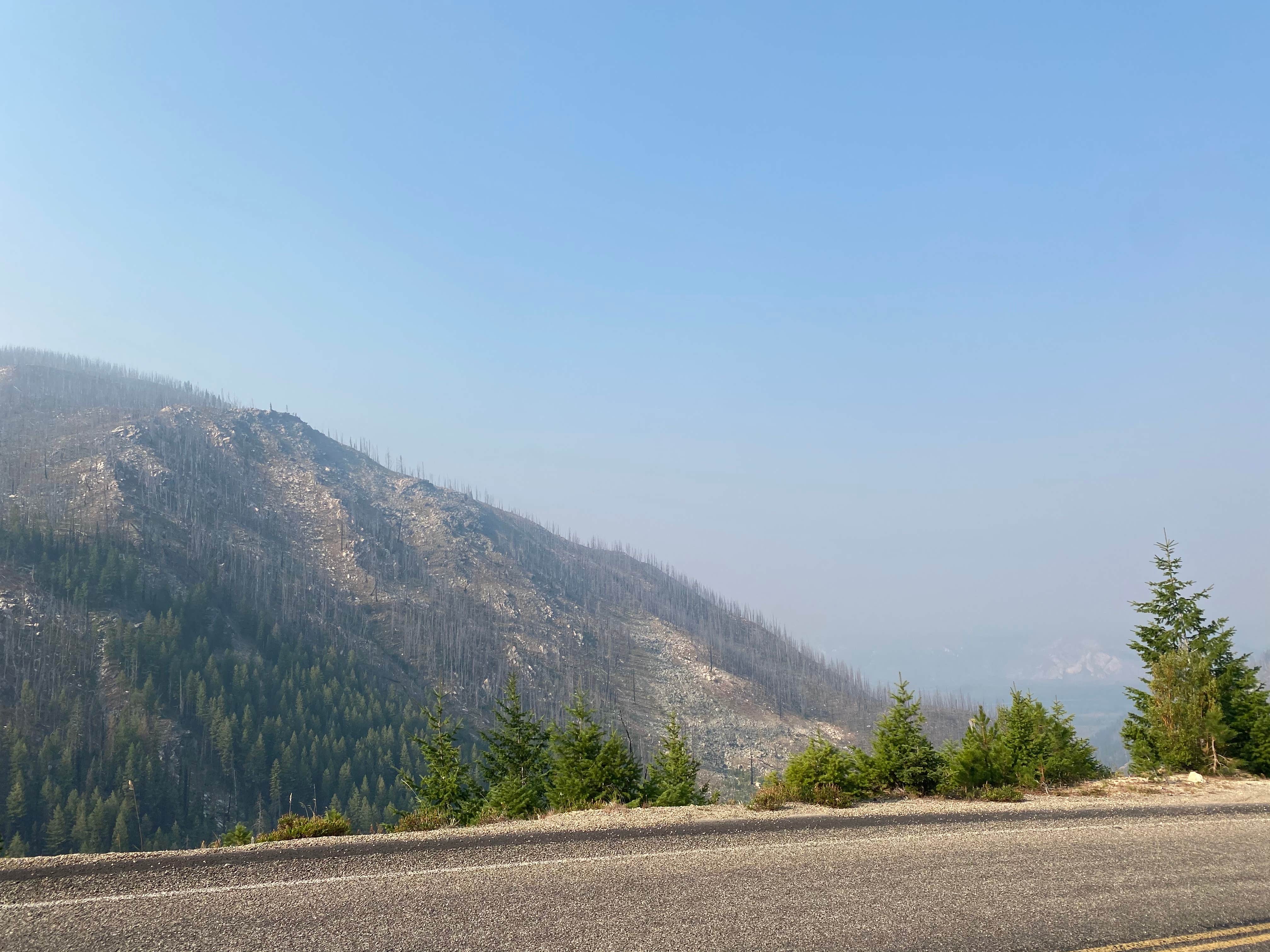 Camping near Lake Louie Dispersed Camping: Summit Lake Campground, Yellow Pine, Idaho