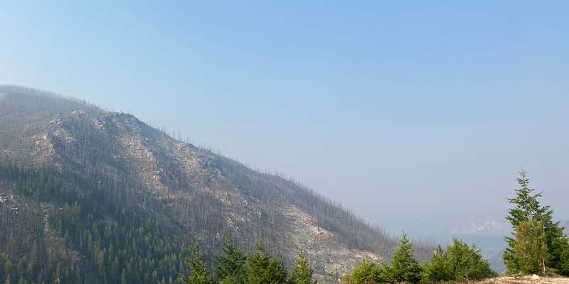 Camper submitted image from Summit Lake Campground