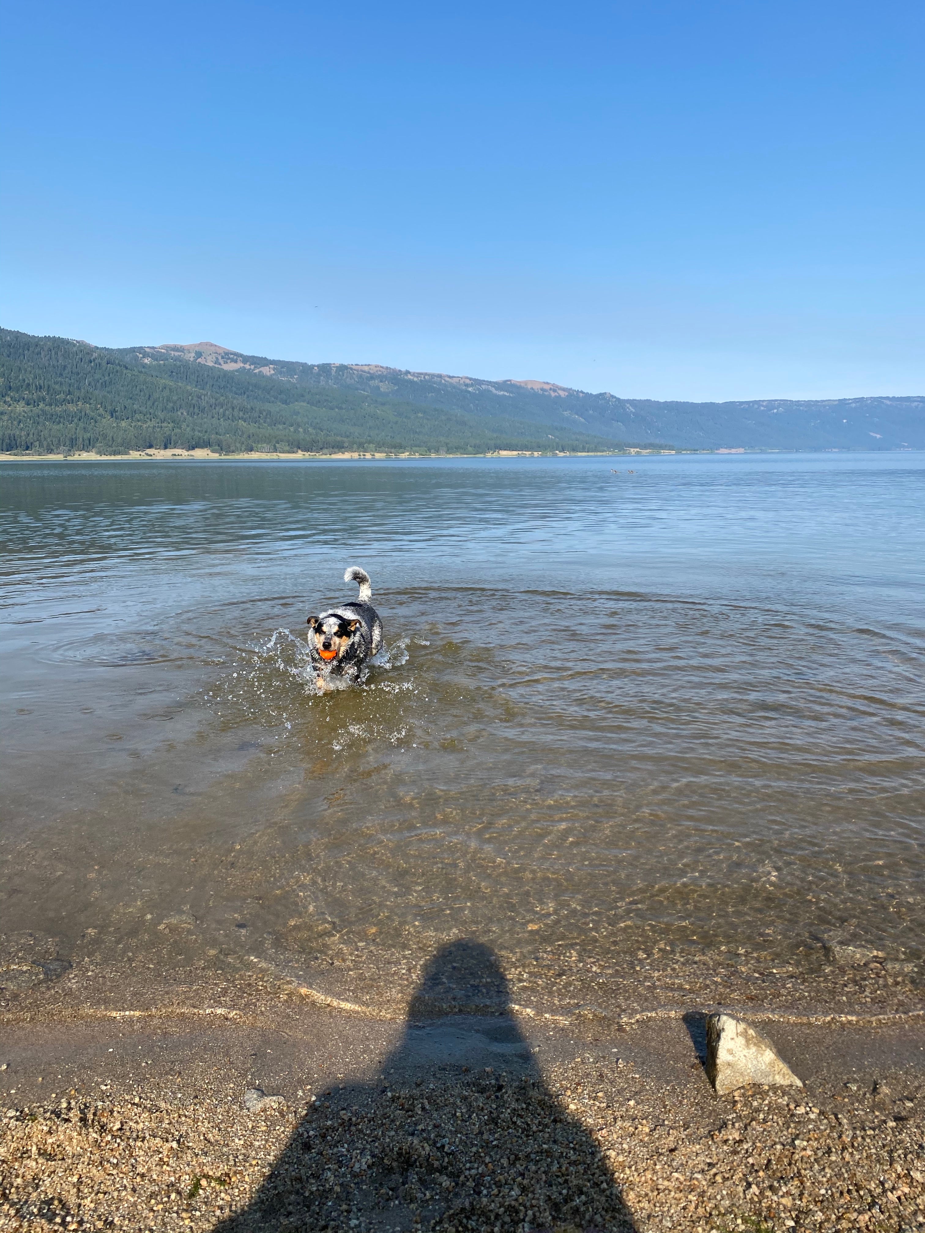 Camper submitted image from Sage Bluff Campground — Lake Cascade State Park - 5