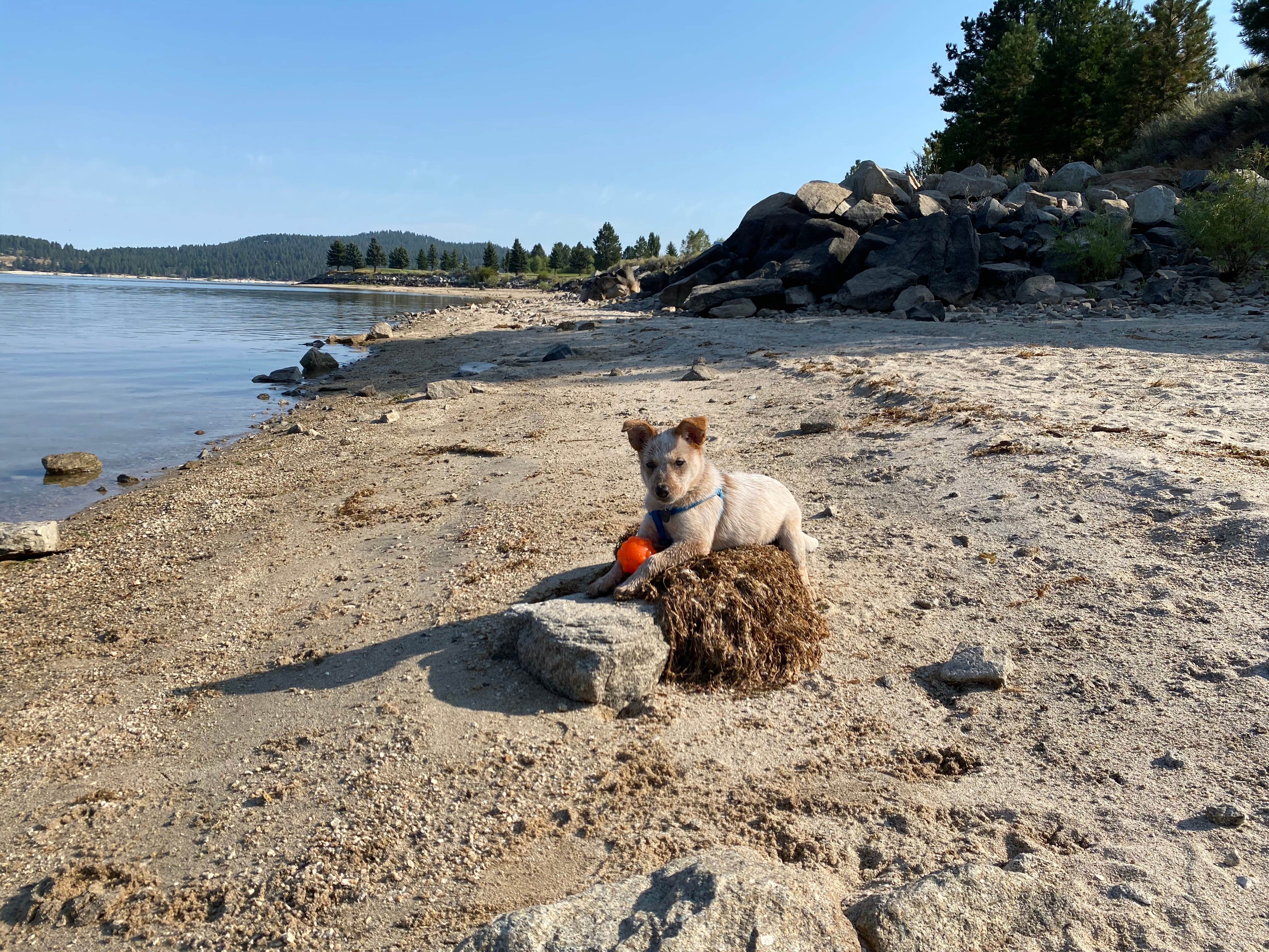 Camper-submitted photo at Sage Bluff Campground — Lake Cascade State Park near Cascade, ID