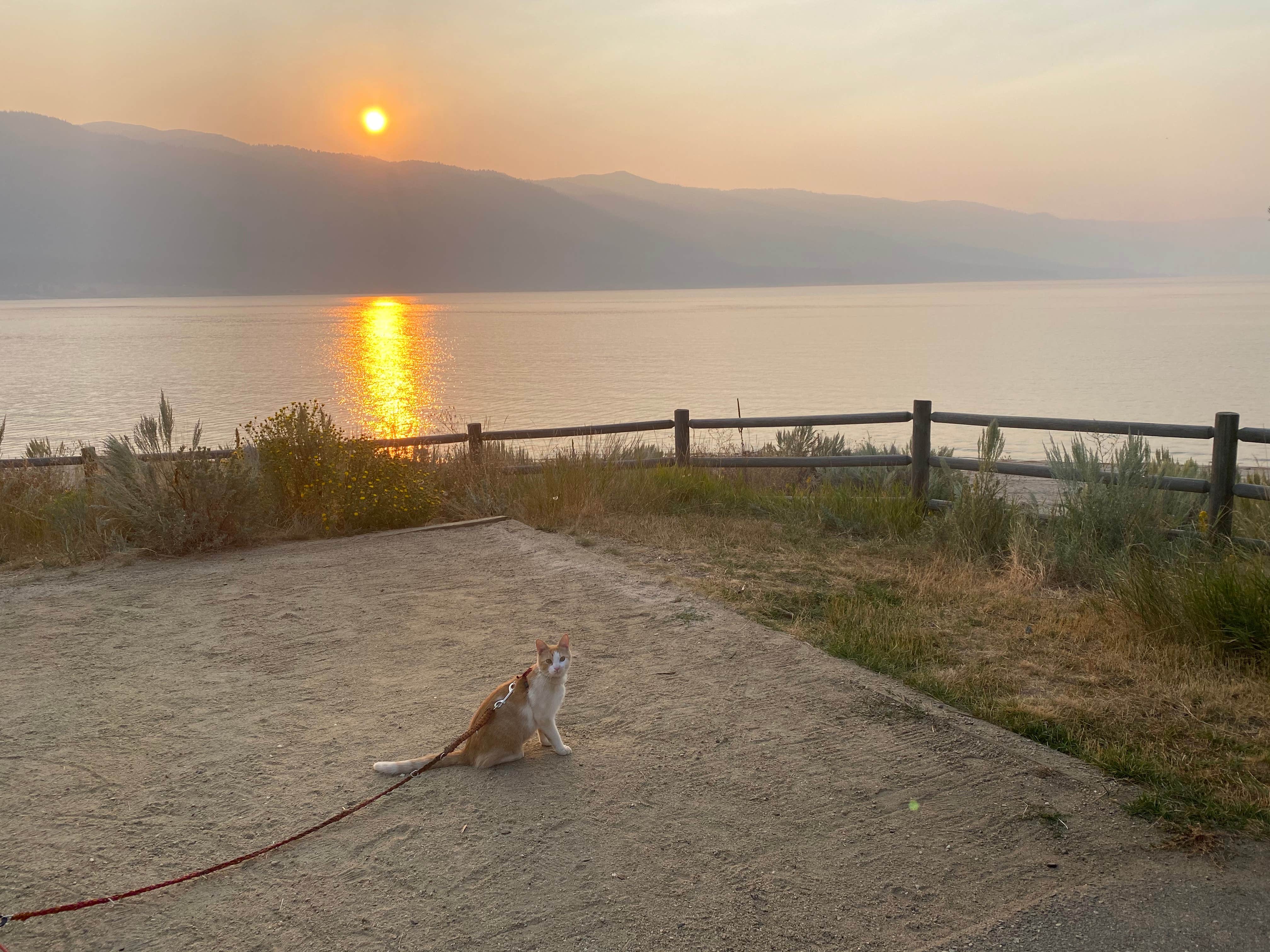 Camper-submitted photo at Sage Bluff Campground — Lake Cascade State Park near Cascade, ID