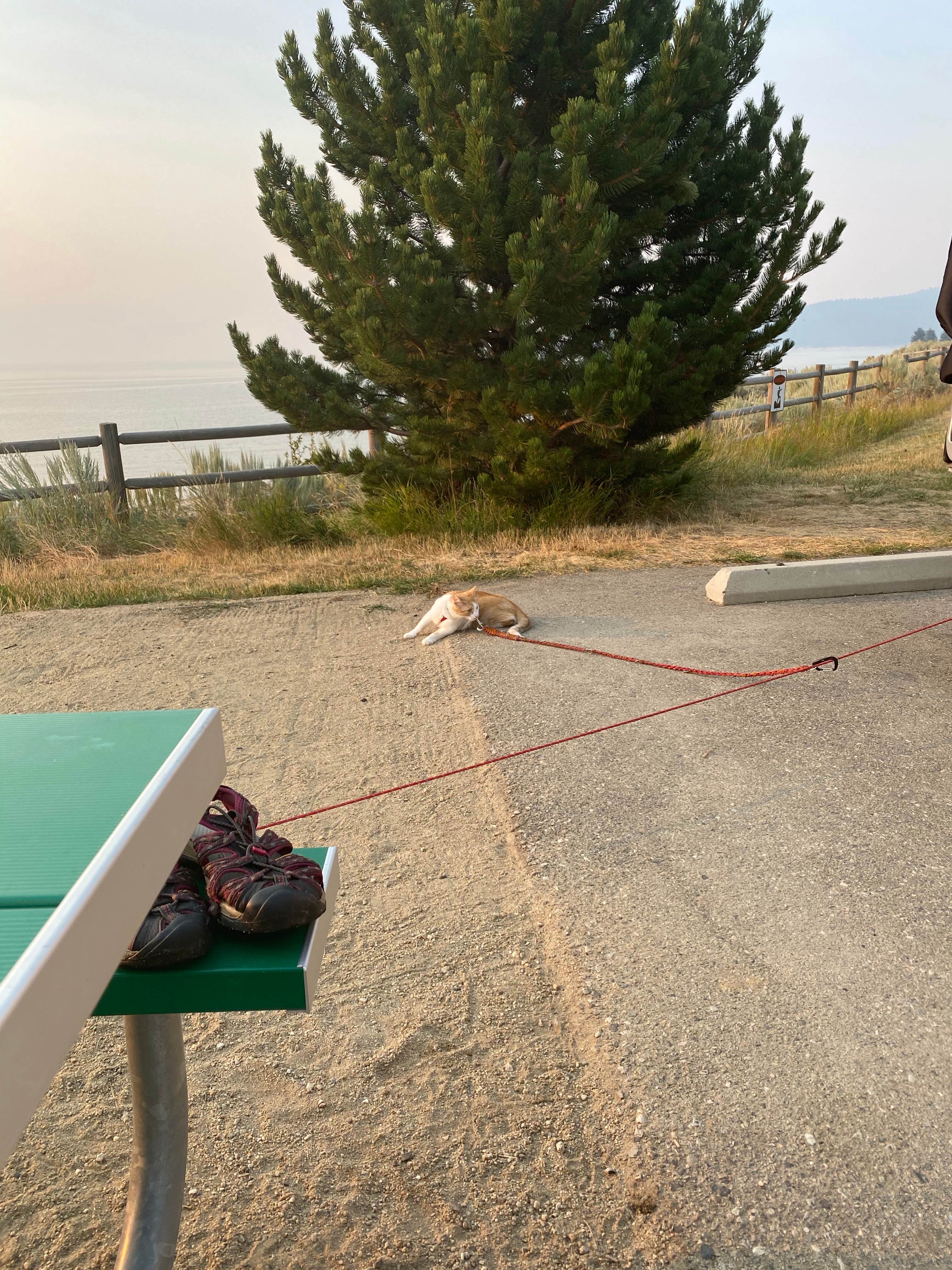 Camper-submitted photo at Sage Bluff Campground — Lake Cascade State Park near Cascade, ID