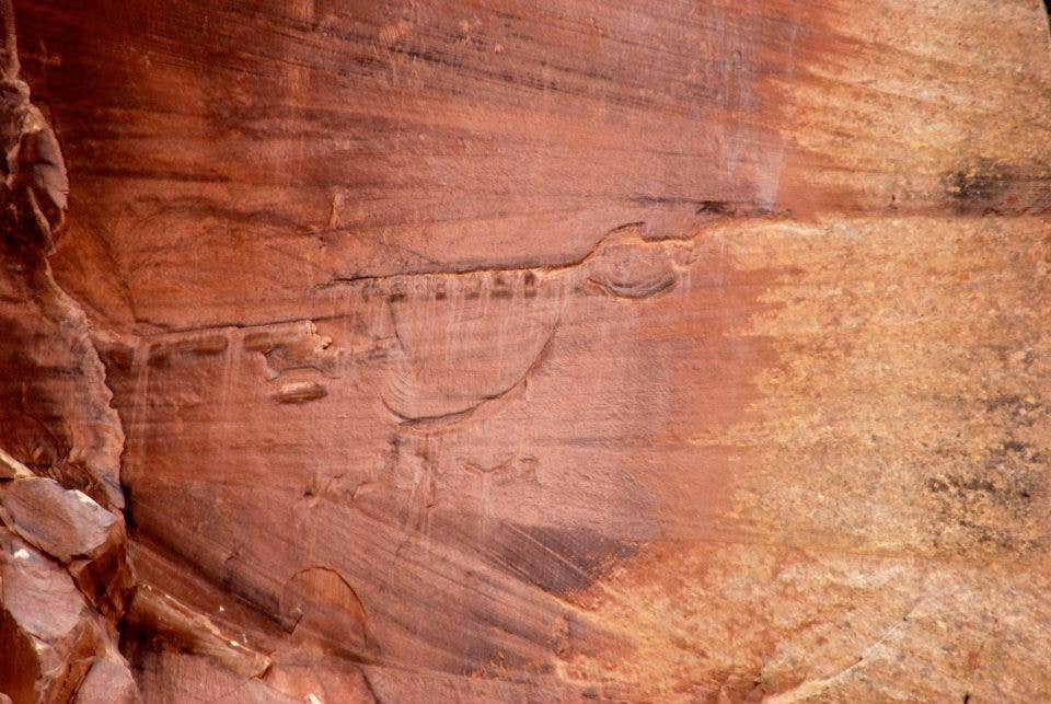 Camper submitted image from Cedar Mesa Campground — Capitol Reef National Park - 4