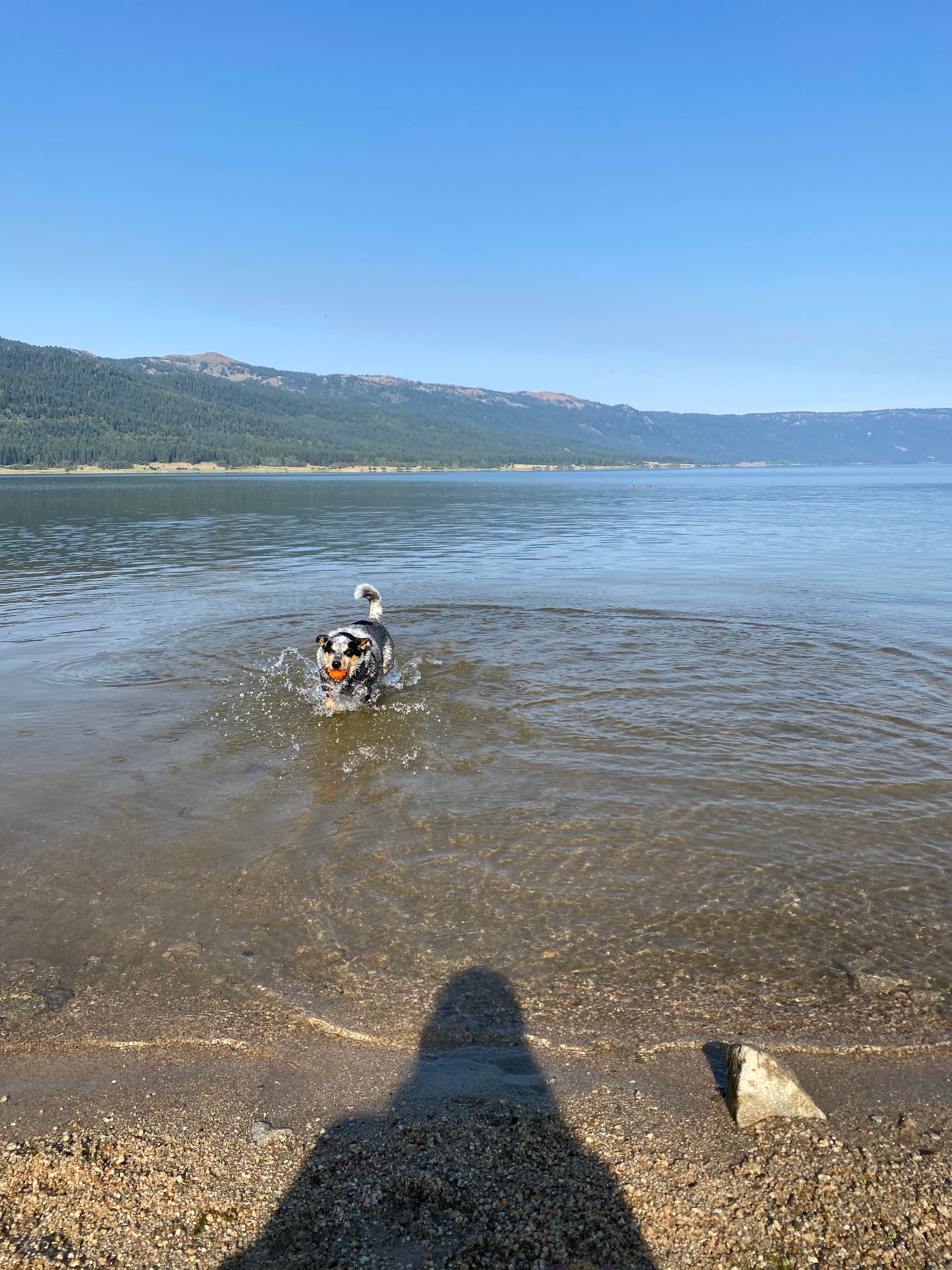 Camper submitted image from Big Sage Campground — Lake Cascade State Park - 3