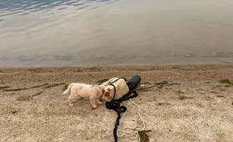 Shelly S.'s photo of camping with pets at Big Sage Campground — Lake Cascade State Park in Idaho