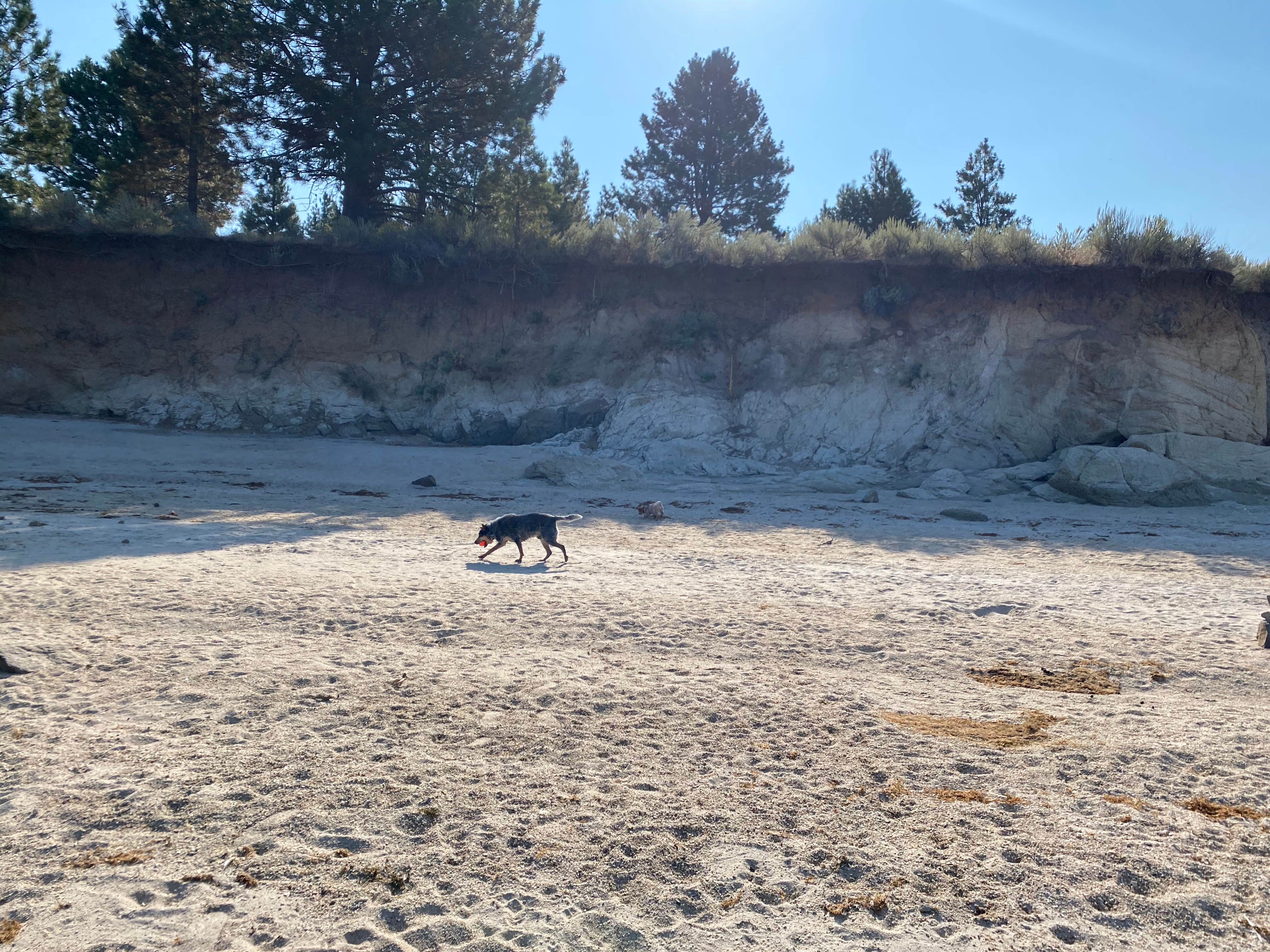 Camper-submitted photo at Big Sage Campground — Lake Cascade State Park near Cascade, ID