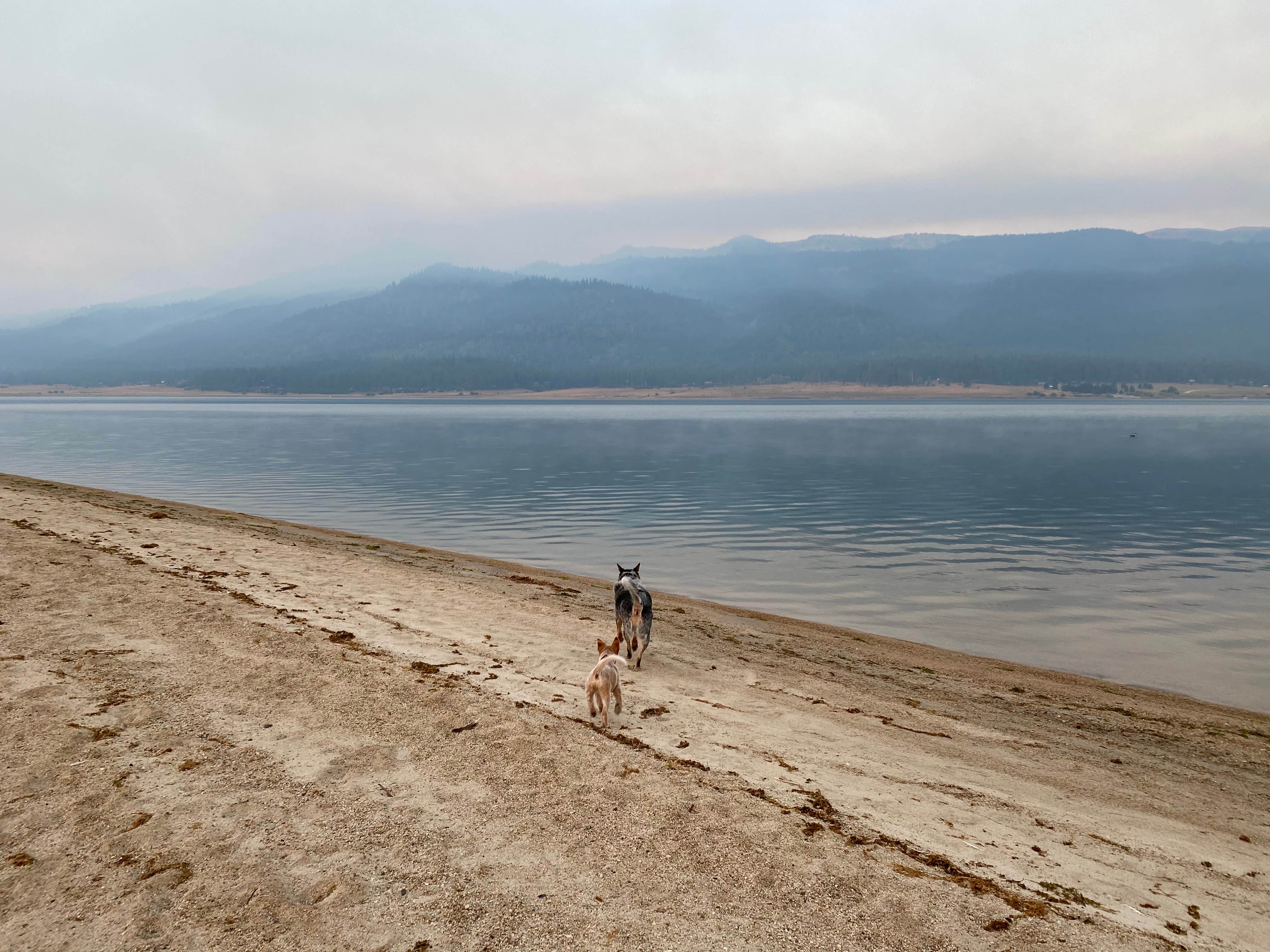 Camper submitted image from Big Sage Campground — Lake Cascade State Park - 5