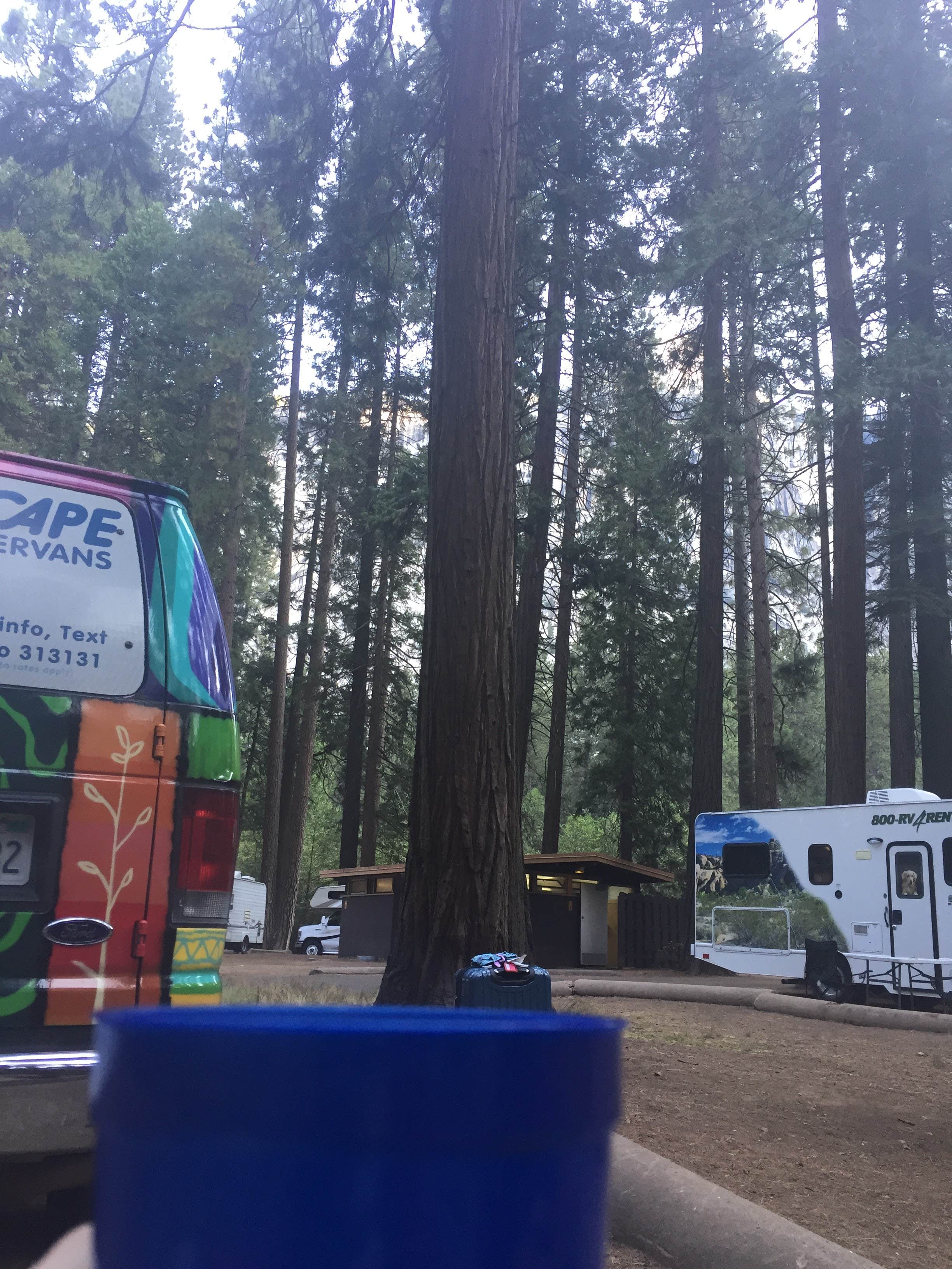 Carly E.'s photo of rv camping at Lower Pines Campground — Yosemite National Park near Eastman Lake