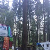 Review photo of Lower Pines Campground — Yosemite National Park by Carly E., May 23, 2018