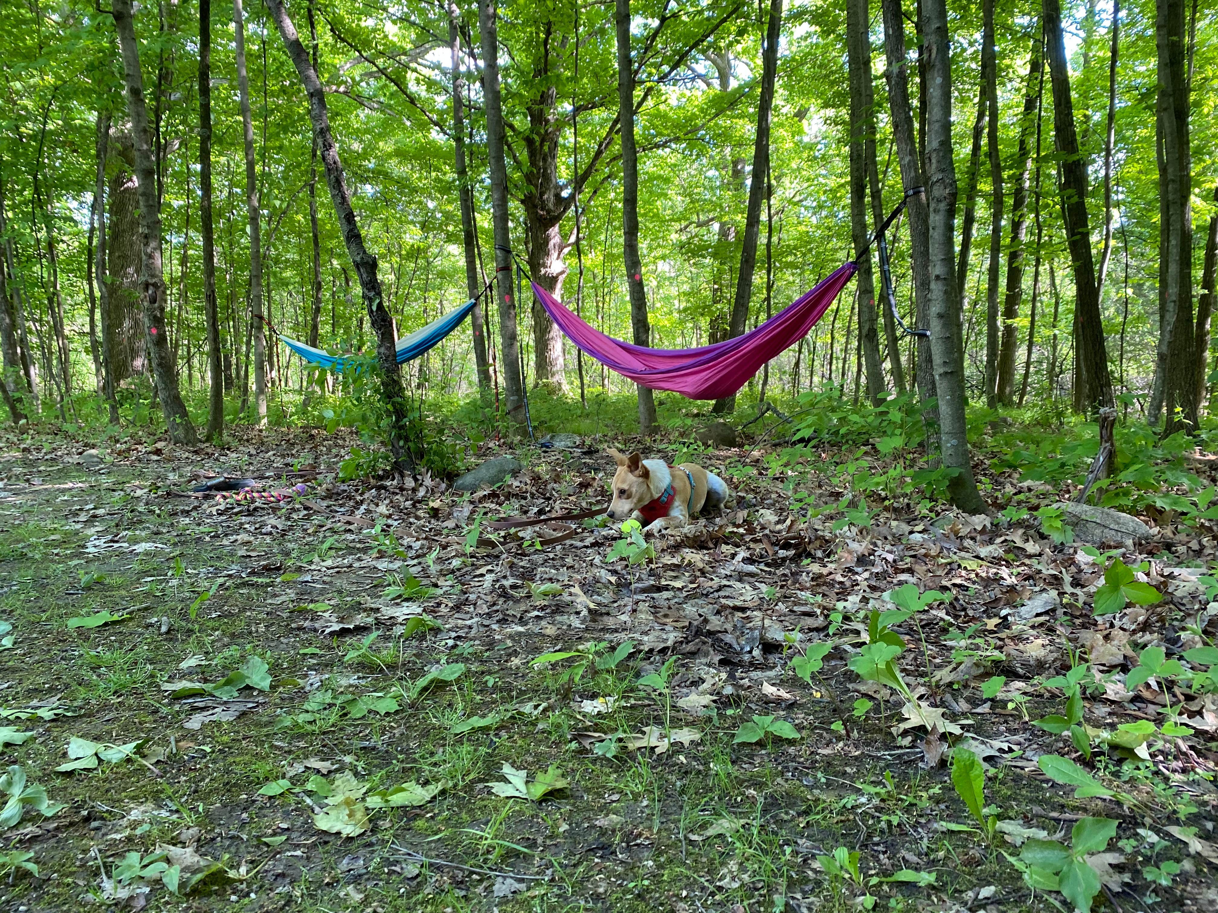 Camper-submitted photo at Menomonee Park by Waukesha County Parks near Waupun, WI