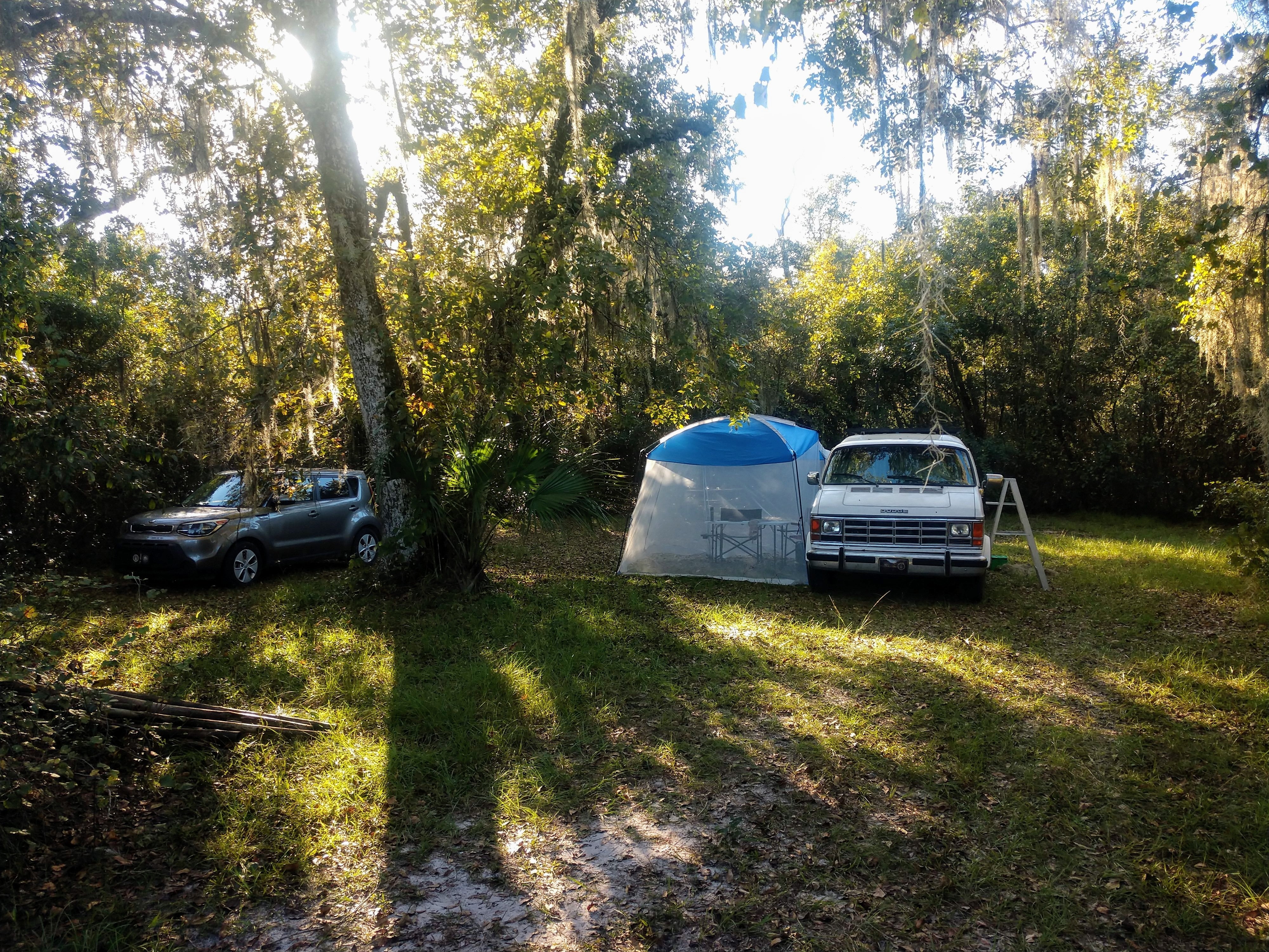 Camper submitted image from Flying Eagle Preserve - 3