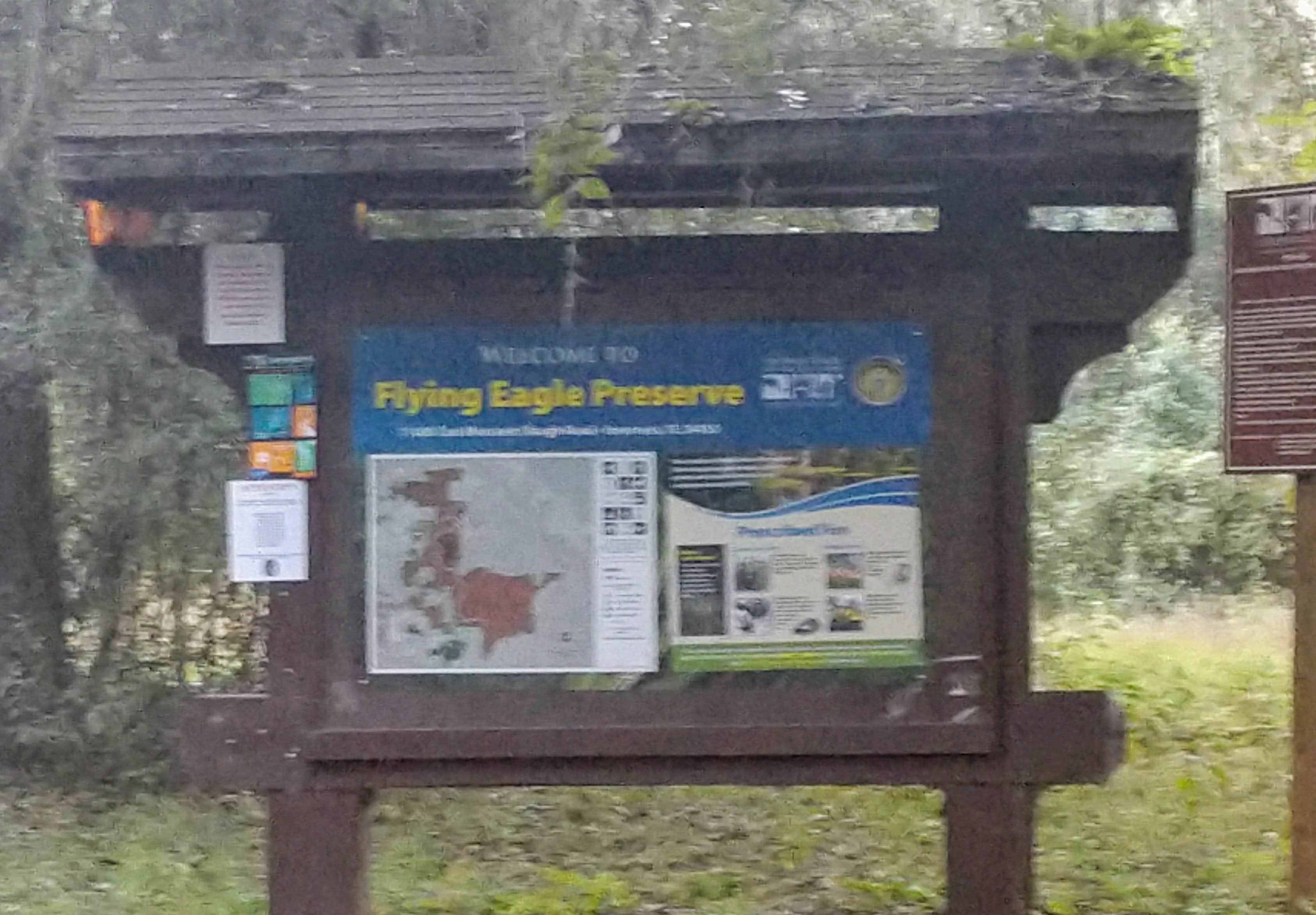 Camper-submitted photo at Flying Eagle Preserve near Inverness, FL