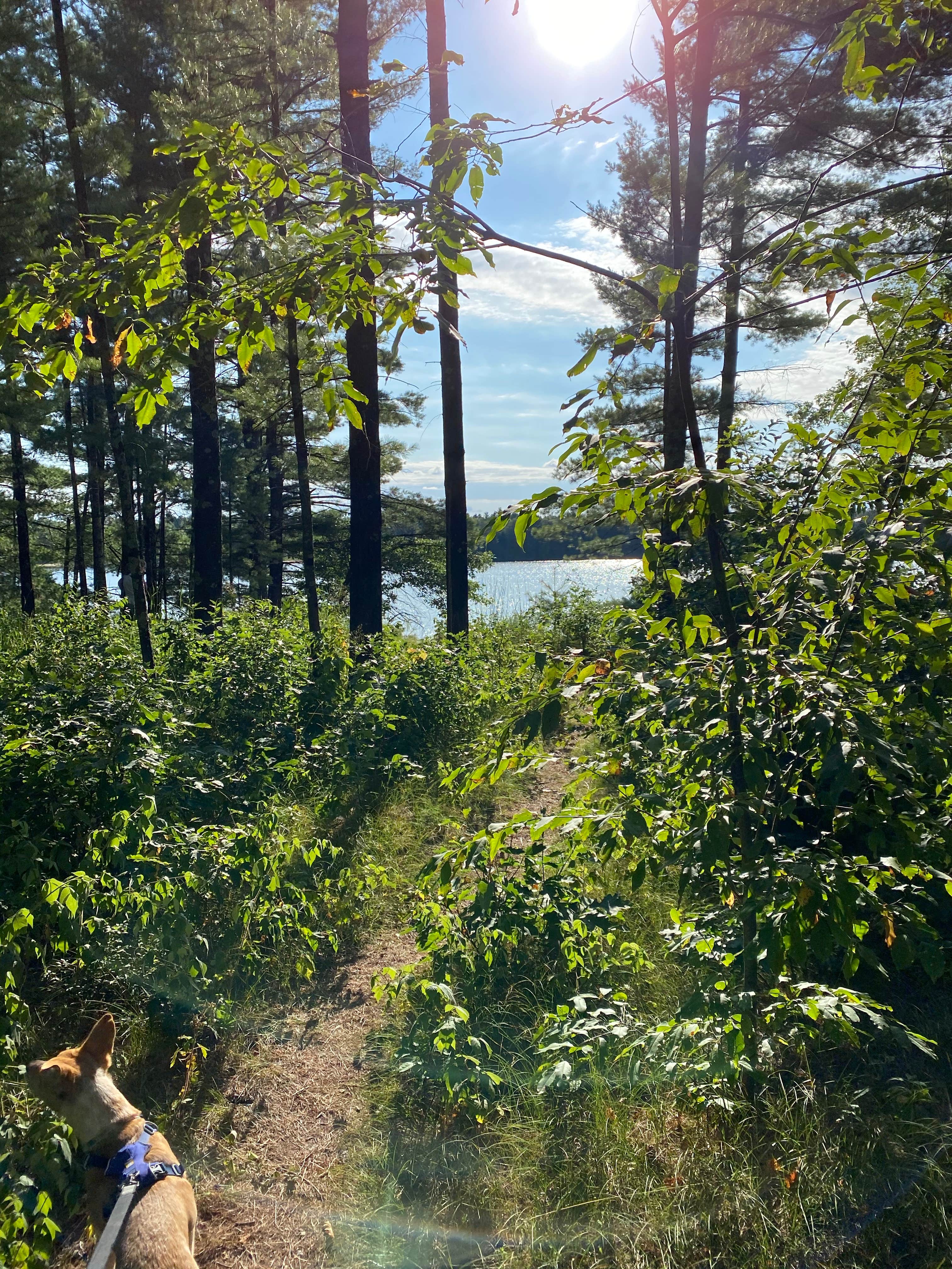 Camper-submitted photo at Coon Fork Campground near Eau Claire, WI