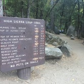 Review photo of Lower Pines Campground — Yosemite National Park by Carly E., May 23, 2018