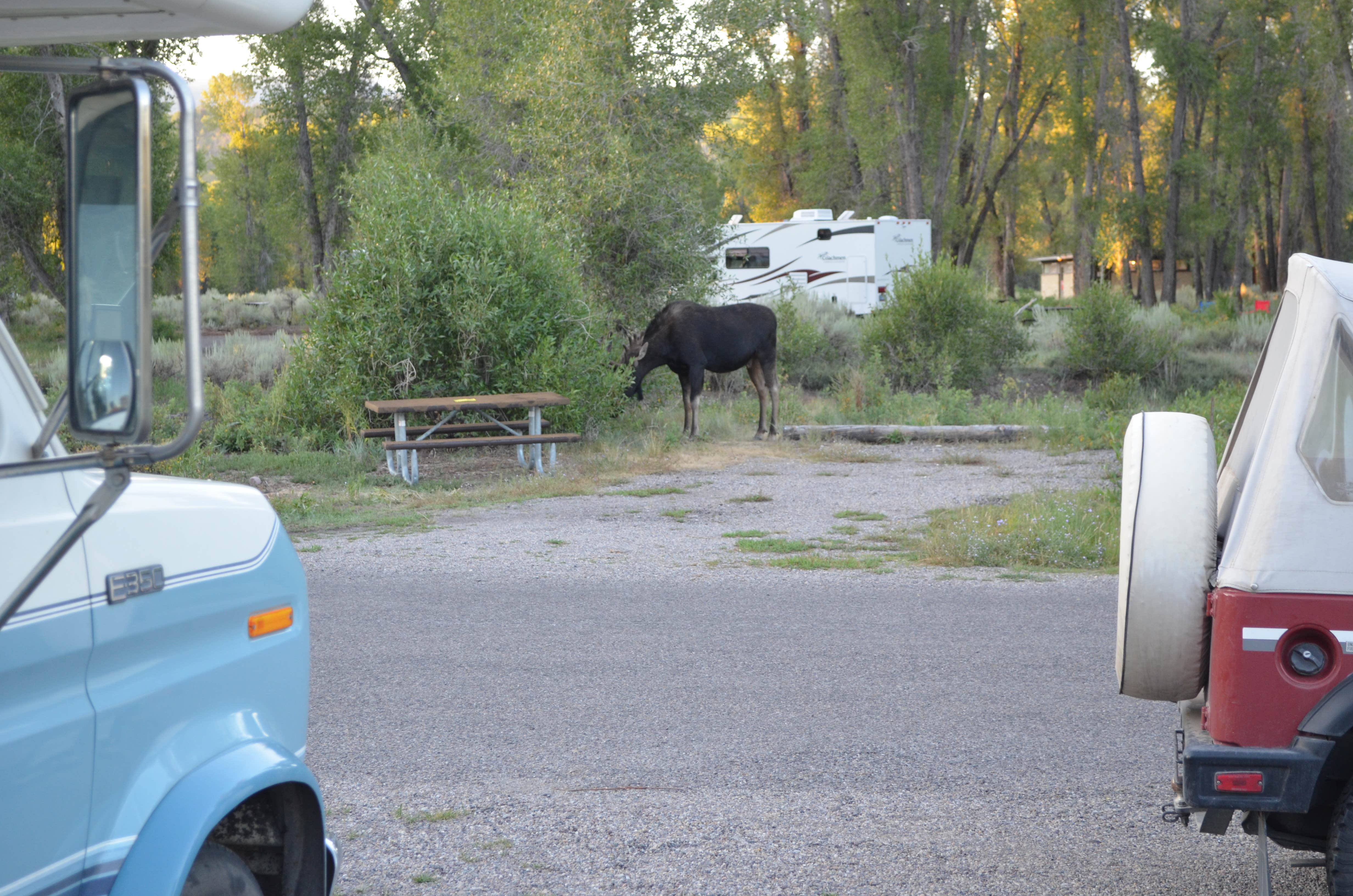 Gros ventre hot sale campground