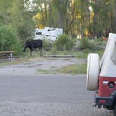 Review photo of Gros Ventre Campground — Grand Teton National Park by Crista V., July 10, 2016