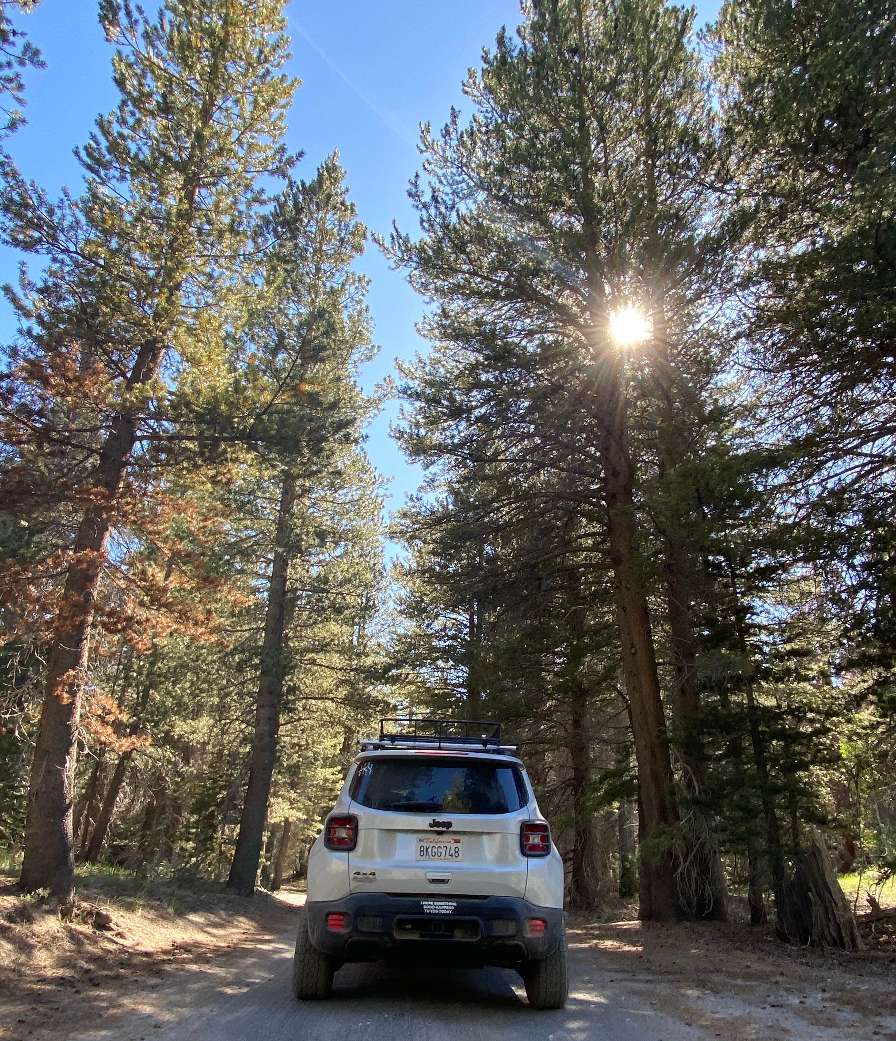 Camper-submitted photo at Sawmill cut off near Devils Postpile National Monument