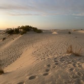 Review photo of Monahans Sandhills State Park Campground by Raymond B., November 7, 2020