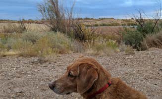 MP C.'s photo of camping with pets at McHood Park Campground near Woodruff, AZ