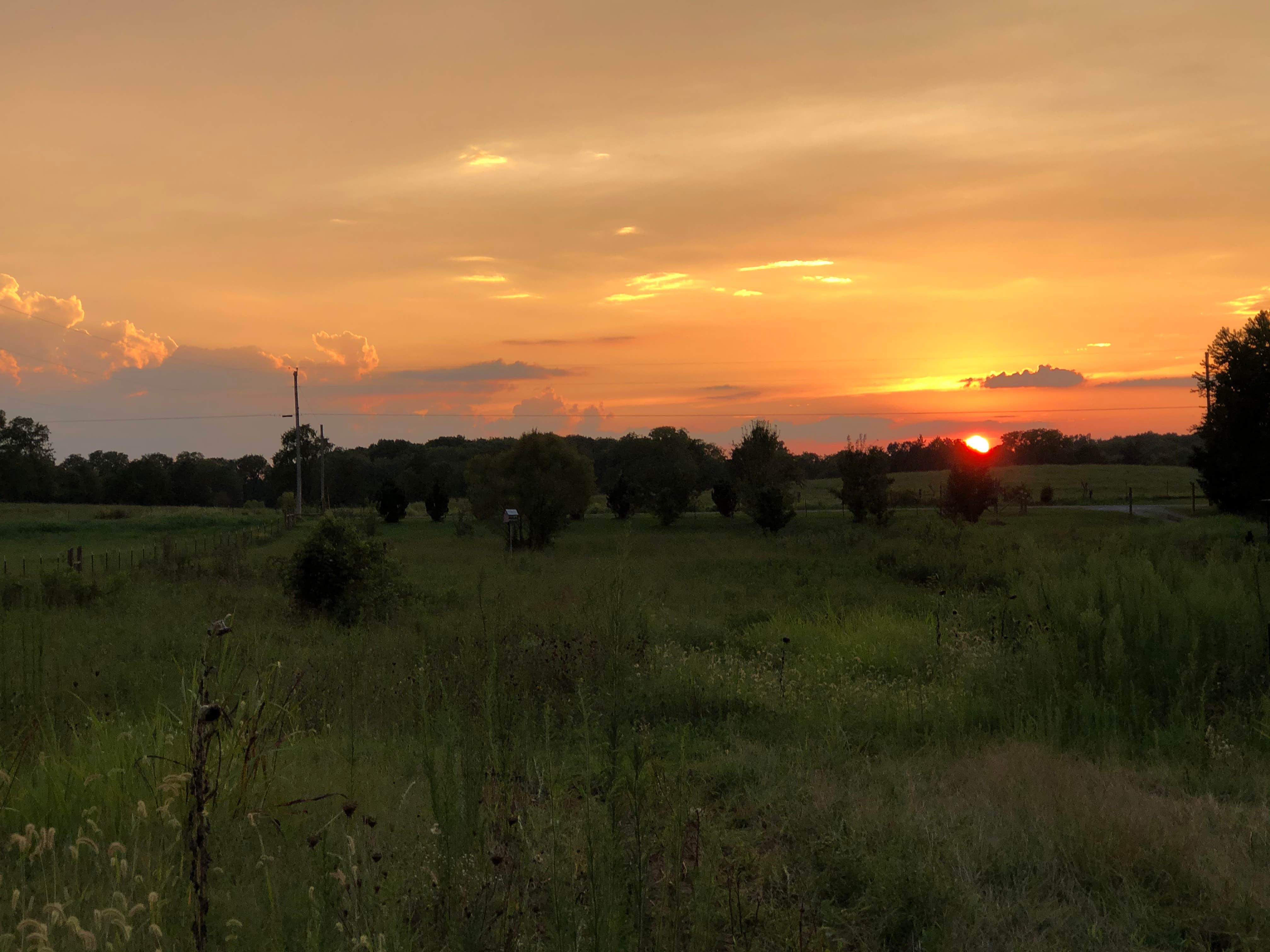Camper-submitted photo at Smith Family Farm near Gallatin, TN