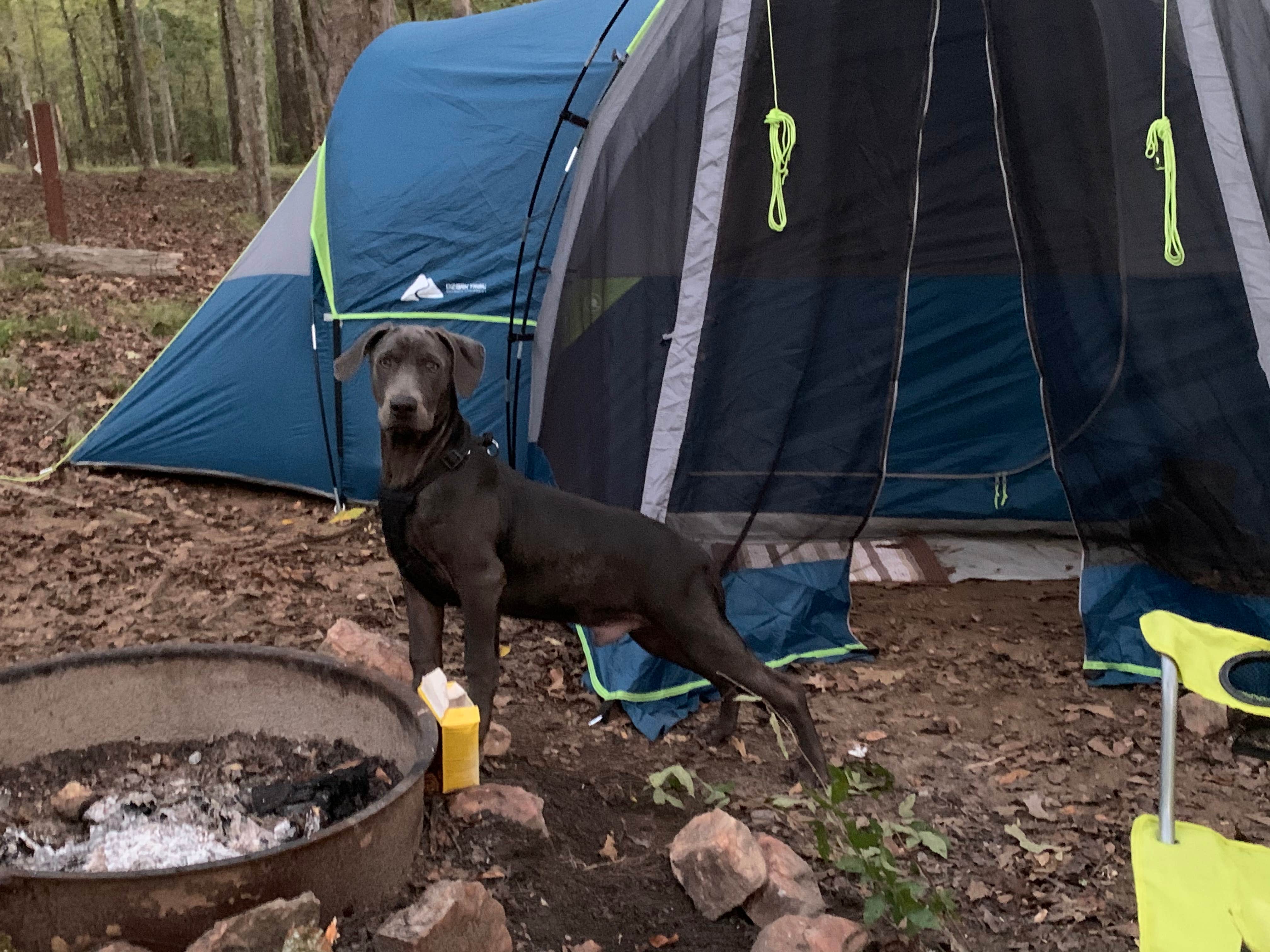 Asia + Jalen B.'s photo at Lake Greenwood State Park Campground near Kinards, SC