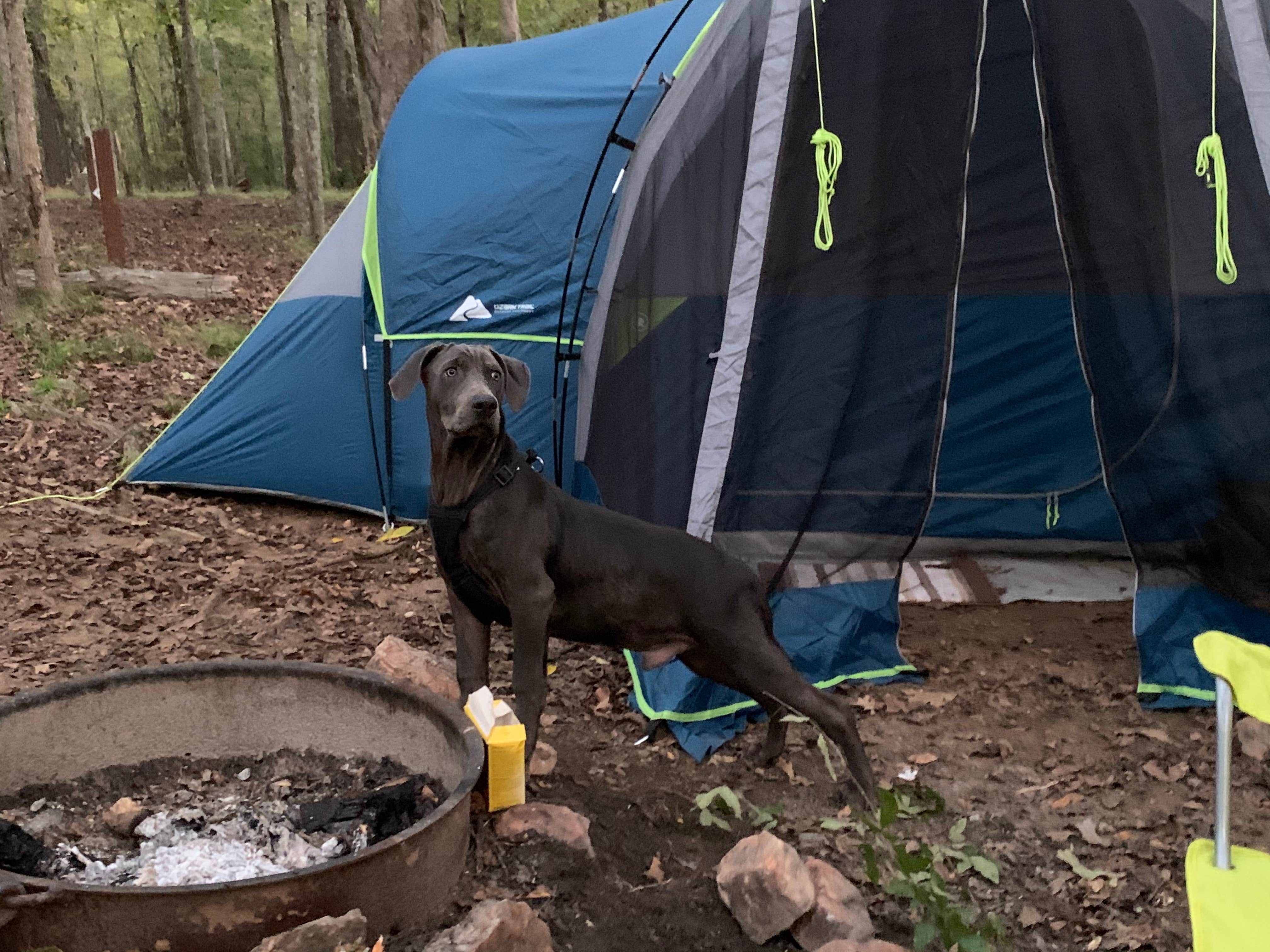 Asia + Jalen B.'s photo at Lake Greenwood State Park Campground near Cross Anchor, SC