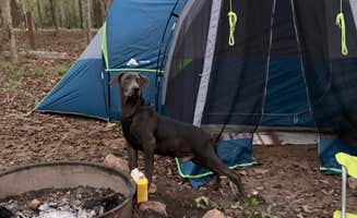 Asia + Jalen B.'s photo at Lake Greenwood State Park Campground near Cross Anchor, SC