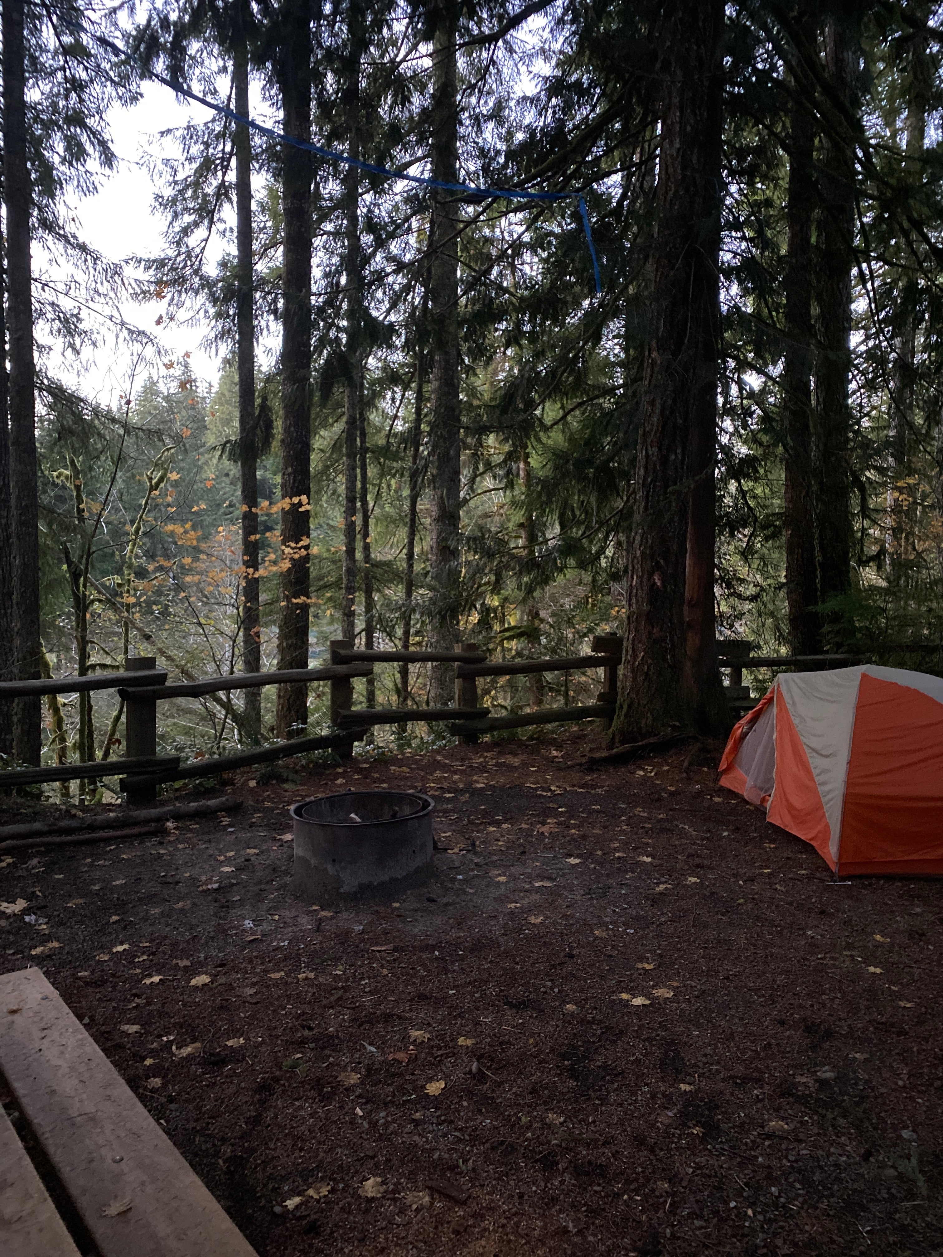 Camper submitted image from Bear Creek Campground - 5