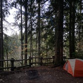 Review photo of Bear Creek Campground by Steve C., November 7, 2020