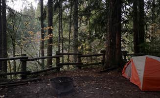 Steve C.'s photo at Bear Creek Campground near Forks, WA