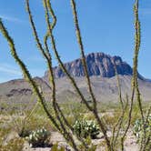 Review photo of Rio Grande Village RV Campground — Big Bend National Park by Brian H., November 7, 2020