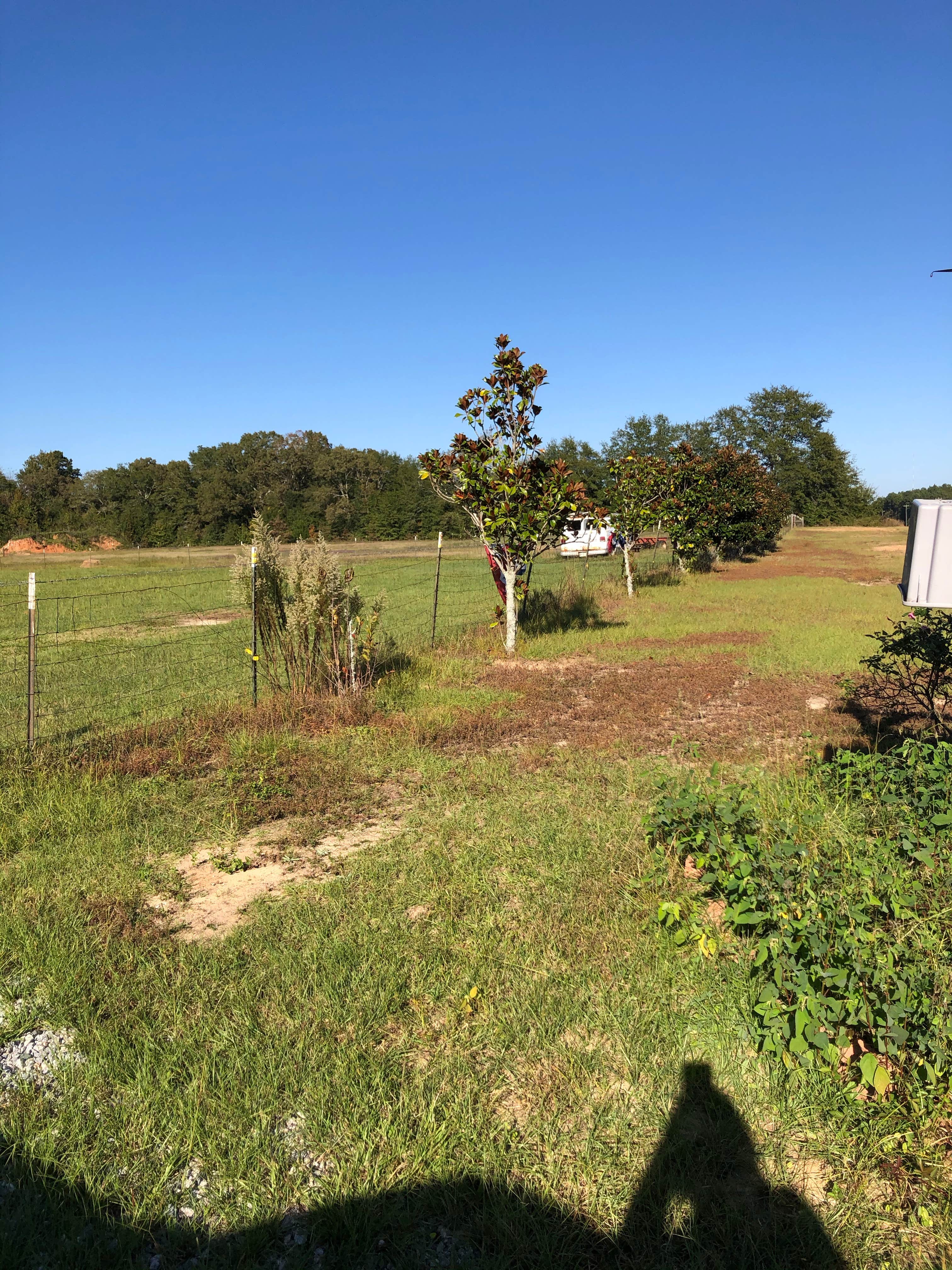 Camper-submitted photo at Joe’s RVPark near Louisville, GA