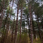 Review photo of Sugar River Forest Preserve by Wendy R., November 7, 2020