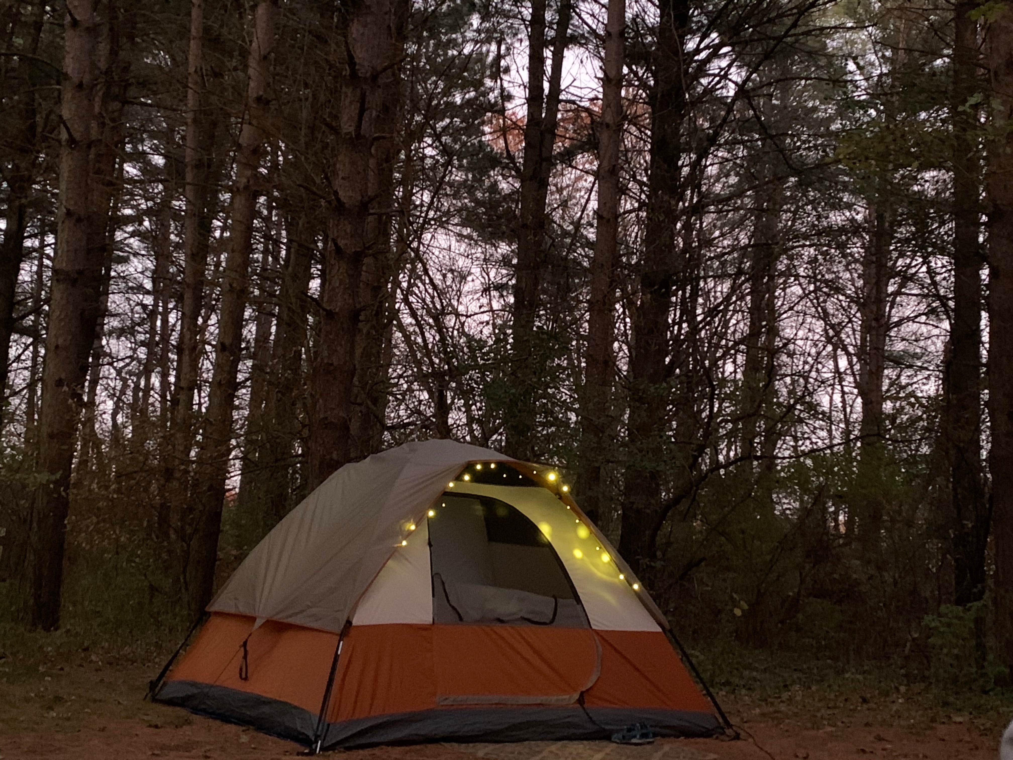 Wendy R.'s photo at Sugar River Forest Preserve near Baileyville, IL