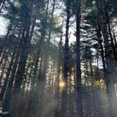 Review photo of Sugar River Forest Preserve by Wendy R., November 7, 2020