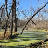 Review photo of Sugar River Forest Preserve by Wendy R., November 7, 2020