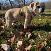 Review photo of Sugar River Forest Preserve by Wendy R., November 7, 2020