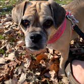 Review photo of Sugar River Forest Preserve by Wendy R., November 7, 2020