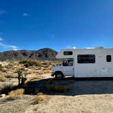 Review photo of Mojave Cross Dispersed — Mojave National Preserve by Sara R., November 7, 2020