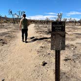 Review photo of Mojave Cross Dispersed — Mojave National Preserve by Sara R., November 7, 2020