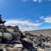 Review photo of Mojave Cross Dispersed — Mojave National Preserve by Sara R., November 7, 2020