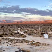 Review photo of Mojave Cross Dispersed — Mojave National Preserve by Sara R., November 7, 2020