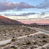 Review photo of Mojave Cross Dispersed — Mojave National Preserve by Sara R., November 7, 2020