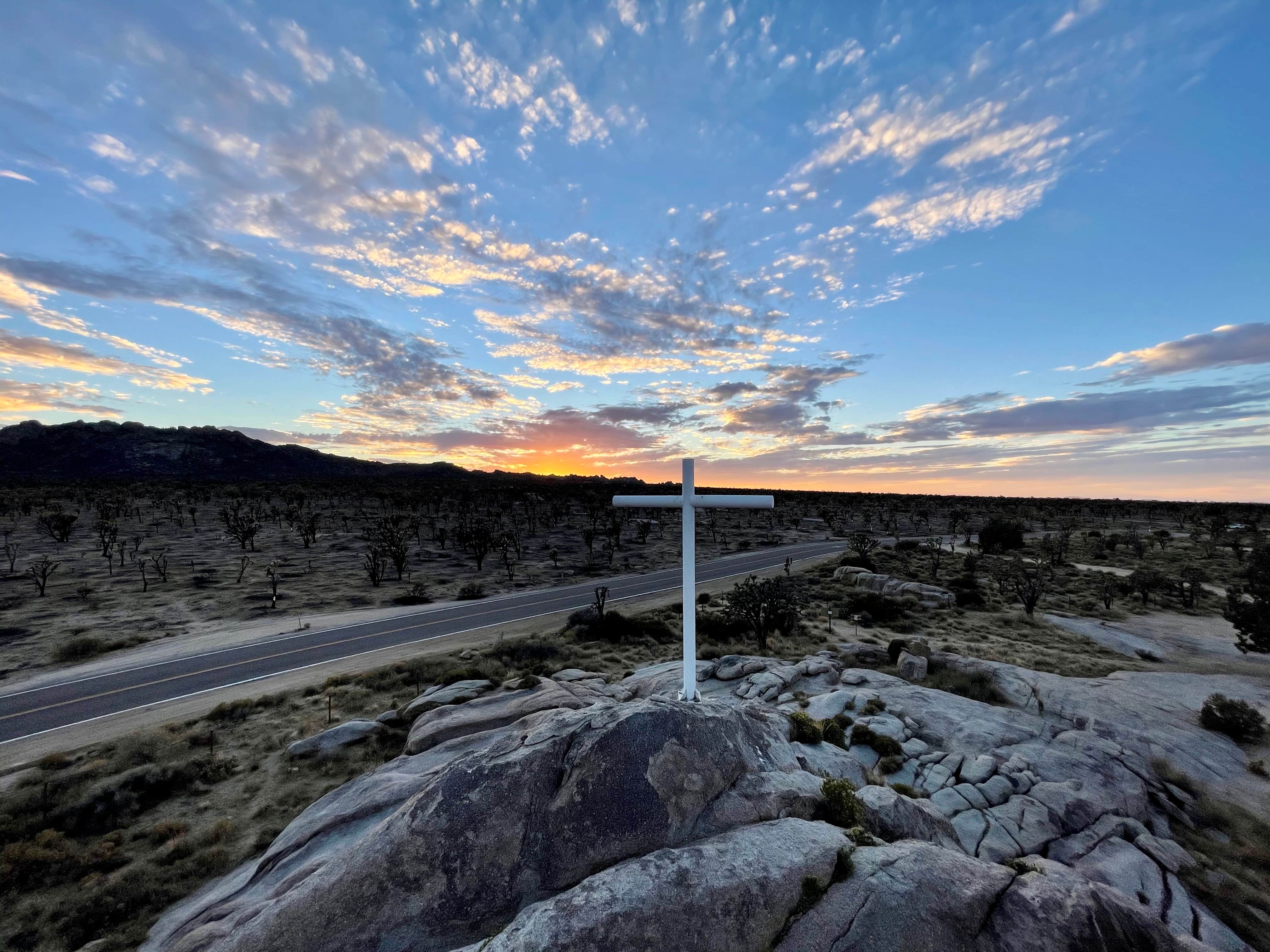 Sara R.'s photo of a dispersed camping area at Mojave Cross Dispersed — Mojave National Preserve near Baker, CA