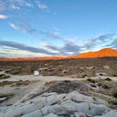 Review photo of Mojave Cross Dispersed — Mojave National Preserve by Sara R., November 7, 2020